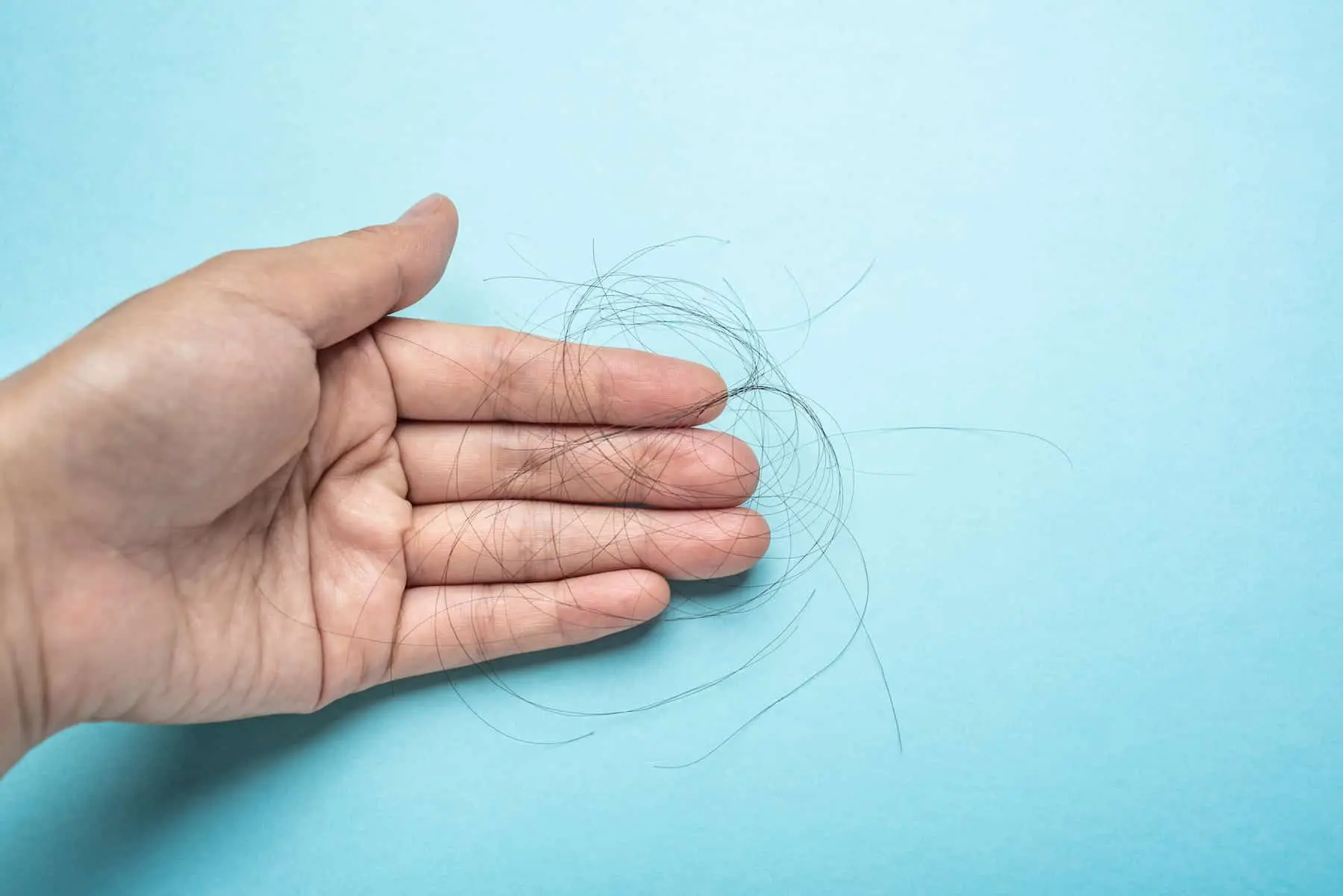 62fa5ded992a3b27a6d4307b AdobeStock 454272458 1 jpg