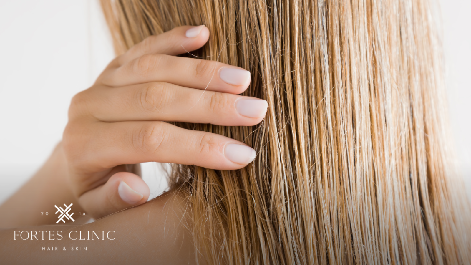 646dd234a844c04f2fafd98a_1642517_FortesClinicBlogImagery11_052223